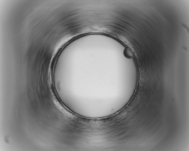 X0000102011080200807180906