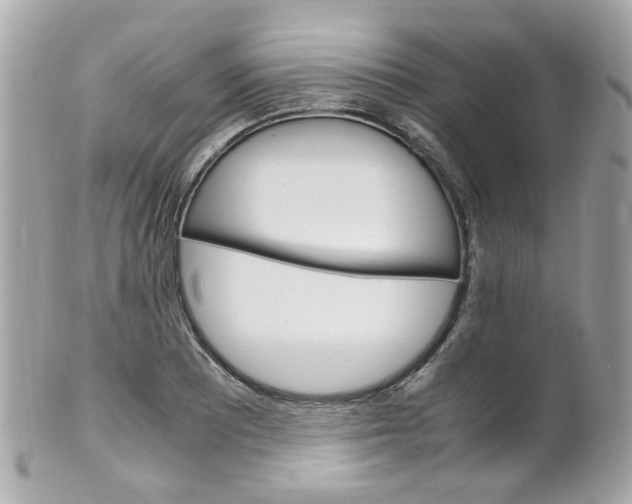 X0000102011081200807180906