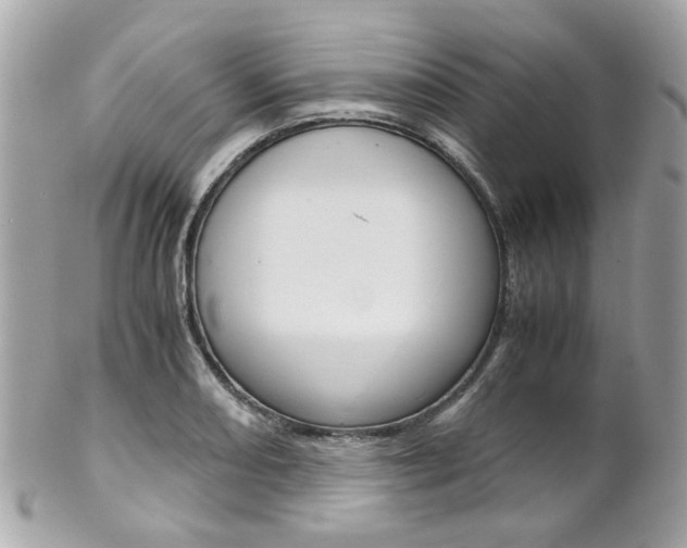 X0000102011082200807180906