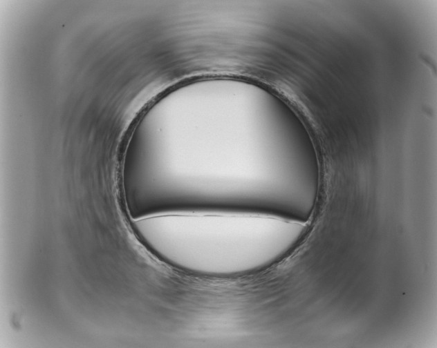 X0000102011085200807180906