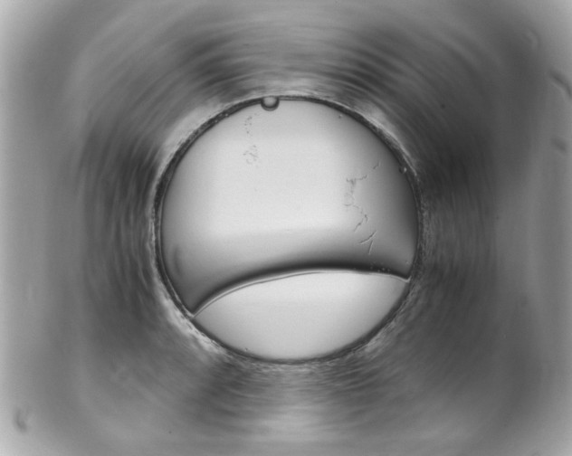 X0000102011088200807180905