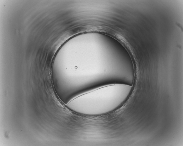 X0000102011089200807180905