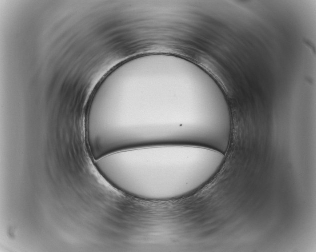 X0000102011092200807180905