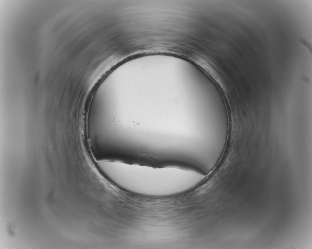 X0000102011093200807180905