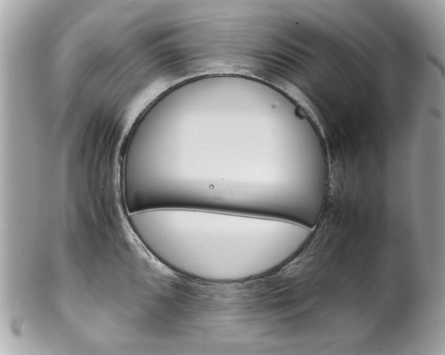 X0000102011096200807180905