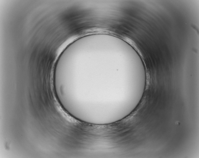X0000102011098200807180905