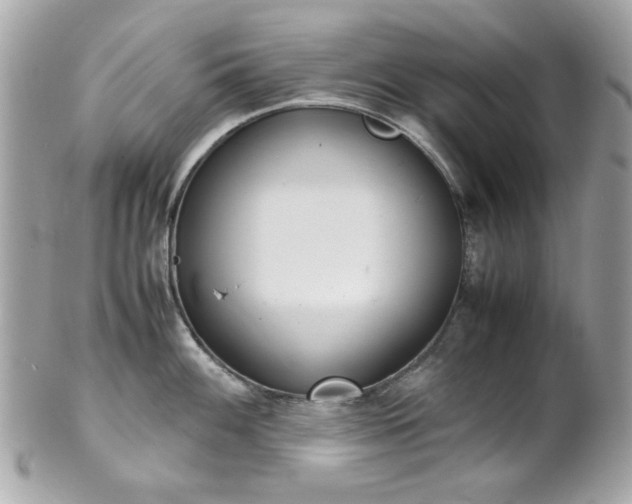 X0000102011100200807180905