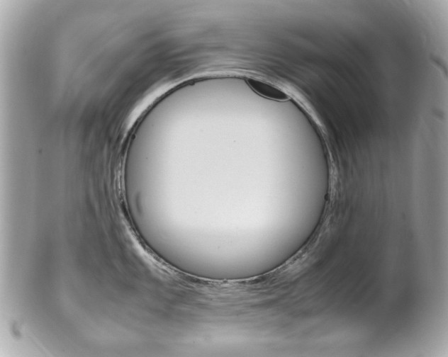 X0000102011101200807180905