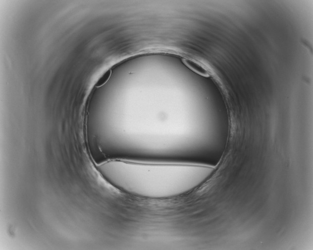 X0000102011102200807180905