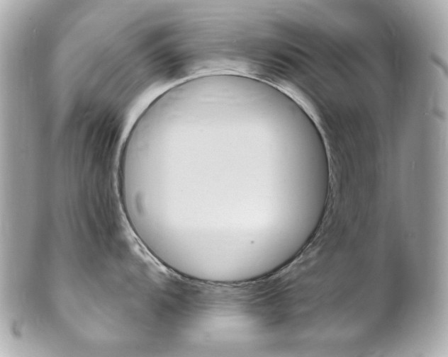 X0000102011104200807180905