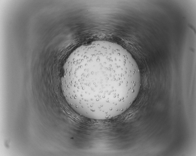 X0000102011105200807180905