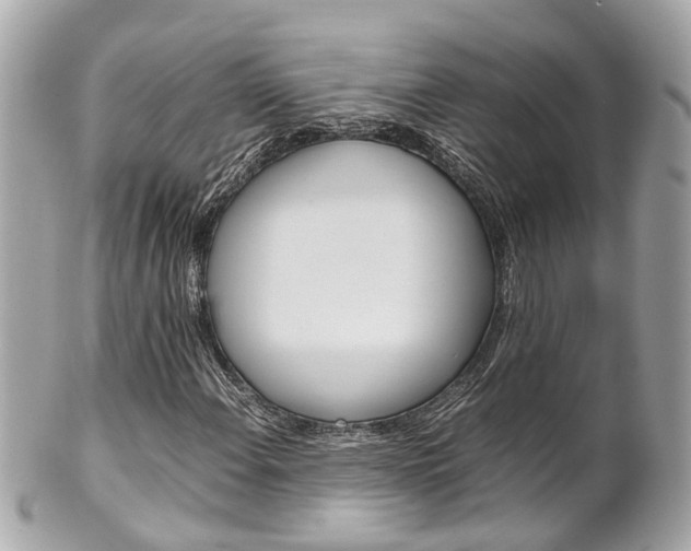 X0000102011108200807180905
