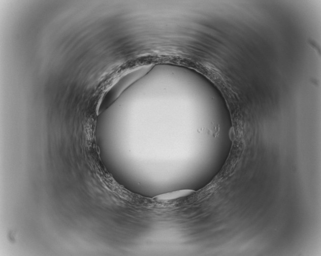 X0000102011110200807180905