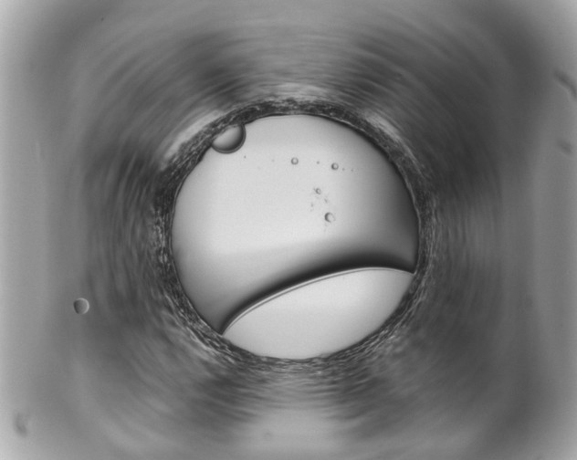 X0000102011112200807180905