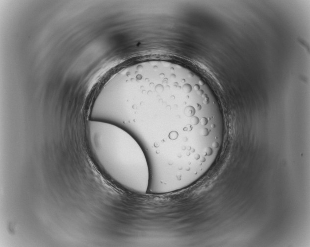 X0000102011117200807180905