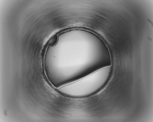 X0000102011118200807180905