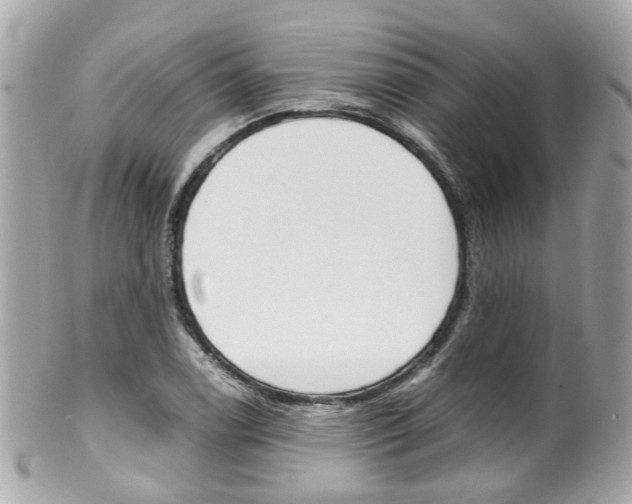X0000102011122200807180905