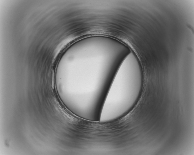 X0000102011123200807180905