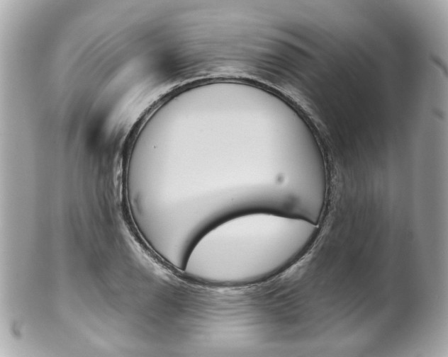 X0000102011126200807180905