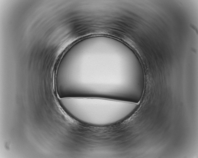 X0000102011127200807180905