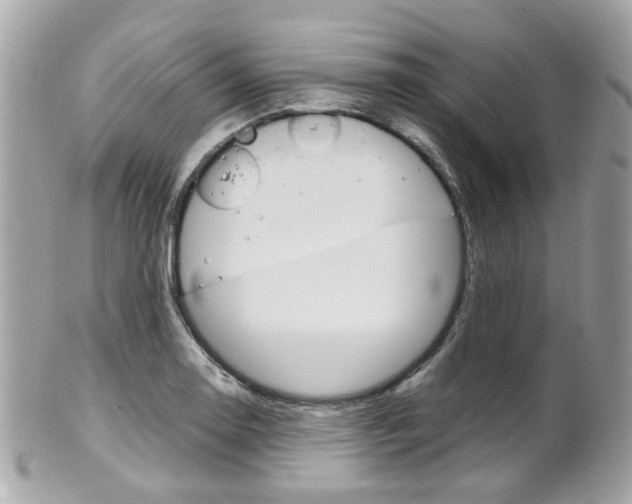 X0000102011130200807180905