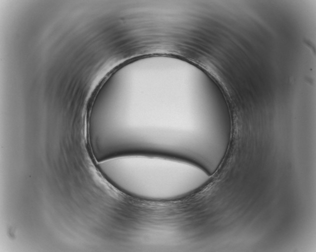 X0000102011132200807180905