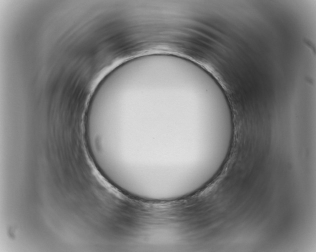 X0000102011134200807180905