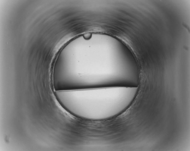 X0000102011135200807180905