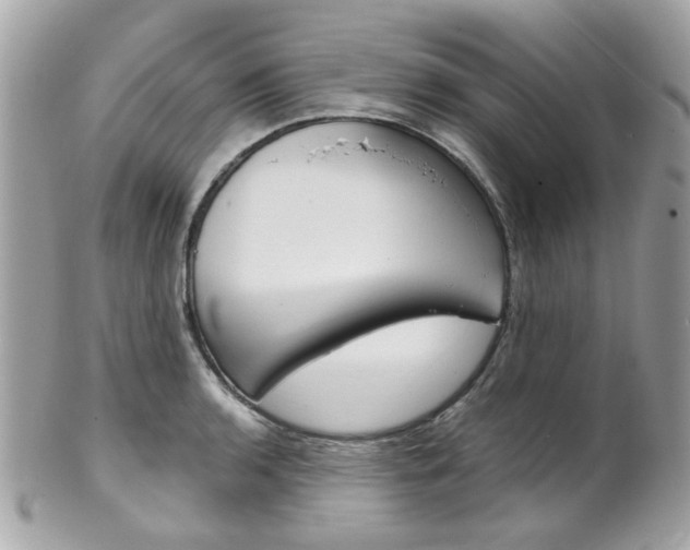 X0000102011136200807180905