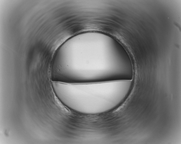 X0000102011137200807180905