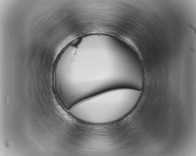 X0000102011138200807180905
