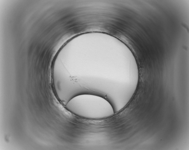 X0000102011140200807180905