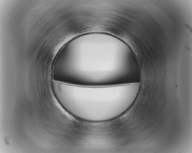 X0000102011142200807180905