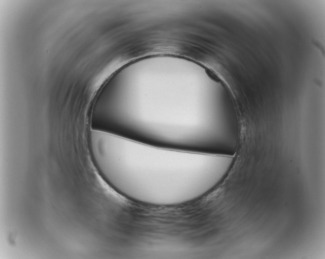X0000102011143200807180905