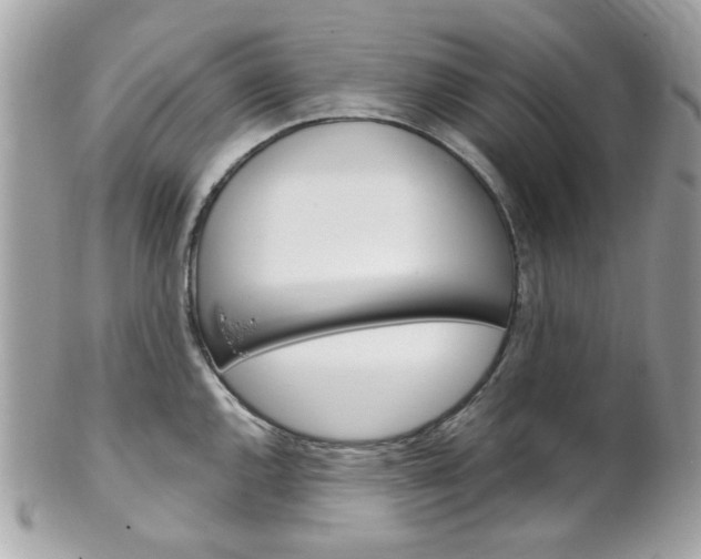 X0000102011144200807180905
