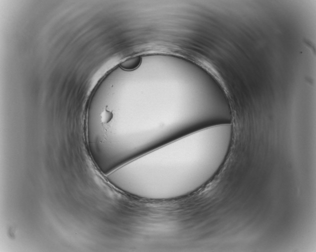 X0000102011146200807180905