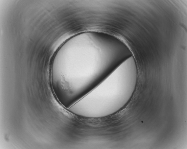 X0000102011147200807180905