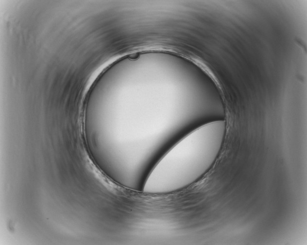 X0000102011148200807180905