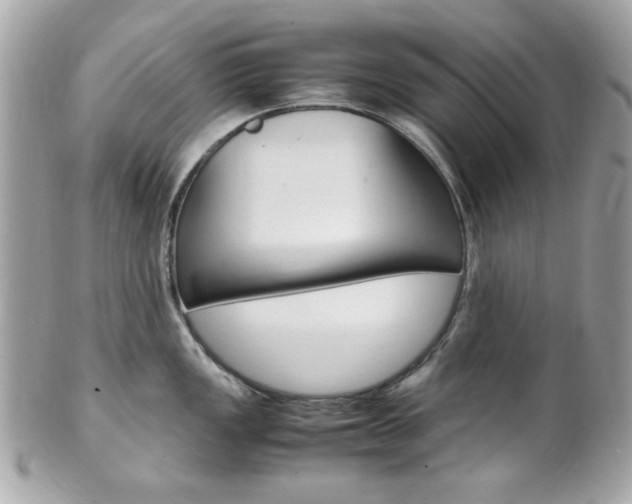 X0000102011149200807180905