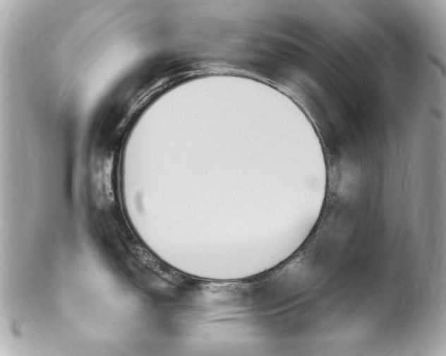 X0000102011150200807180905