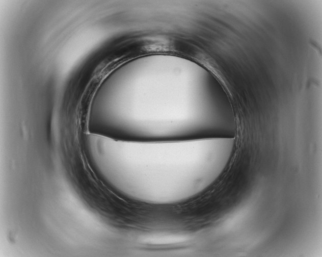 X0000102011151200807180905