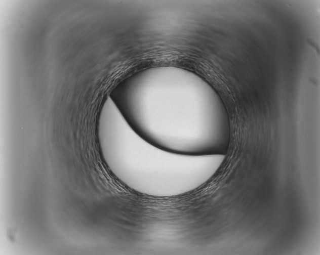 X0000102011153200807180905