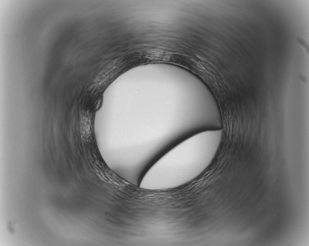X0000102011154200807180905
