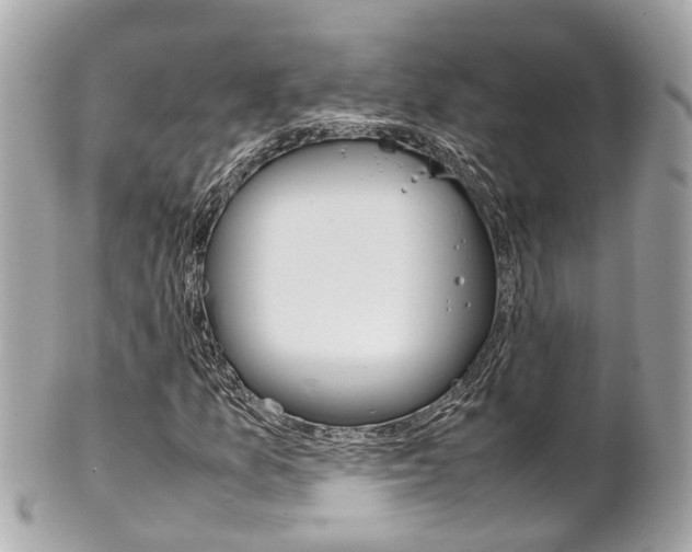 X0000102011157200807180905