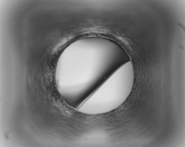 X0000102011159200807180904