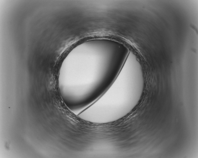 X0000102011160200807180904