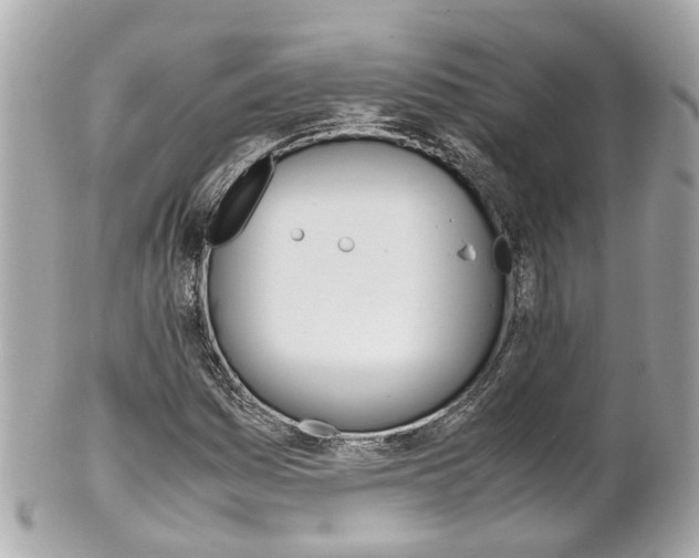 X0000102011161200807180904