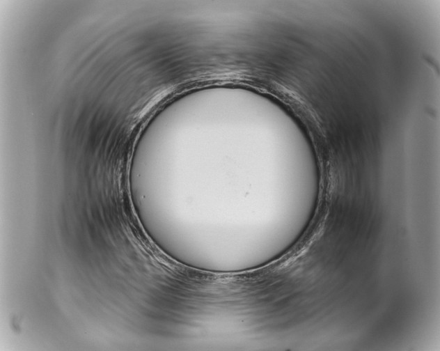 X0000102011162200807180904