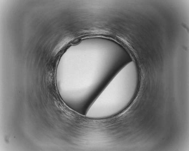 X0000102011163200807180904