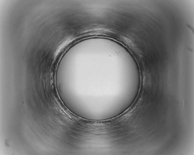 X0000102011164200807180904